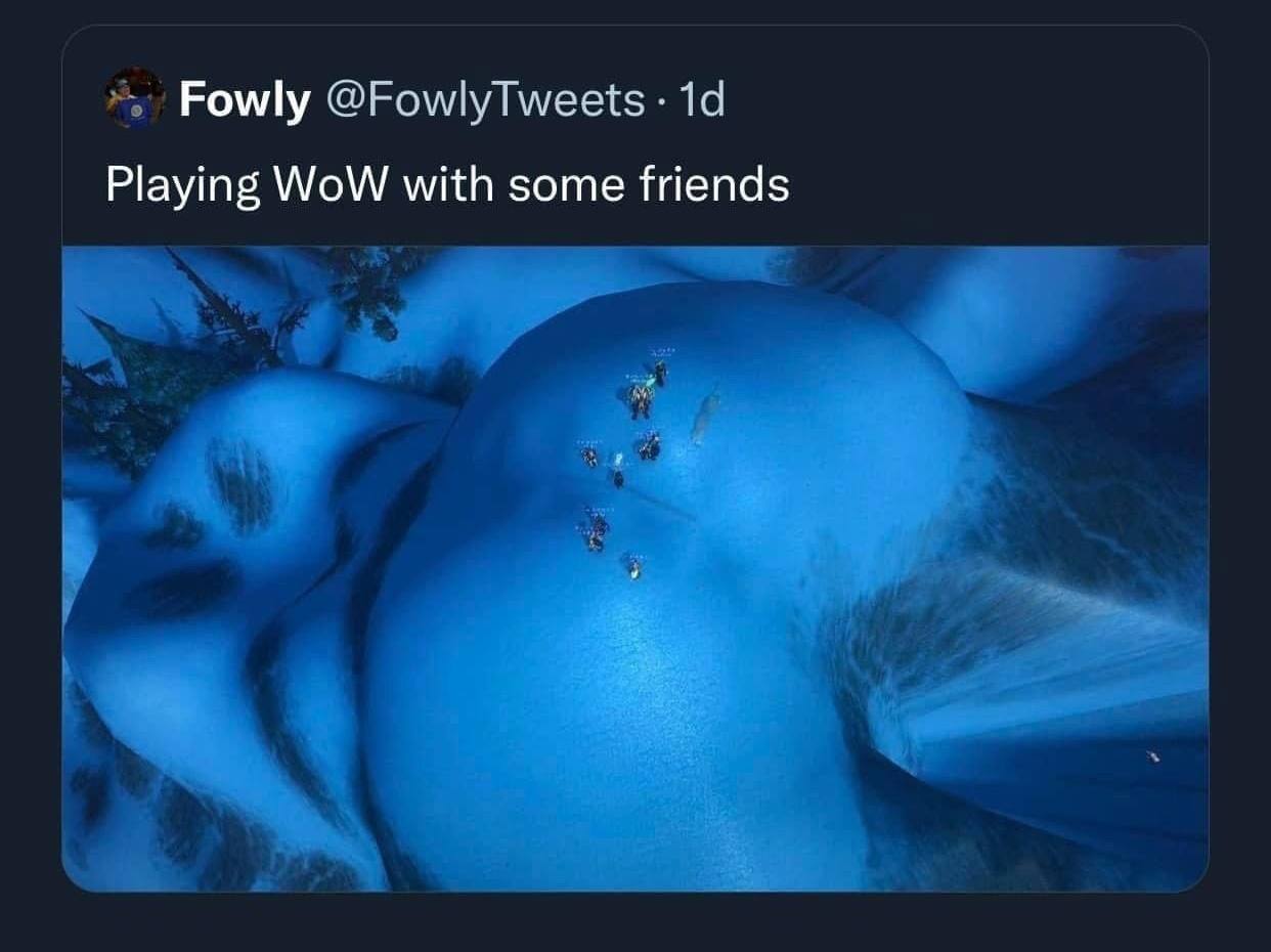 Fowly Playing WoW with some friends
