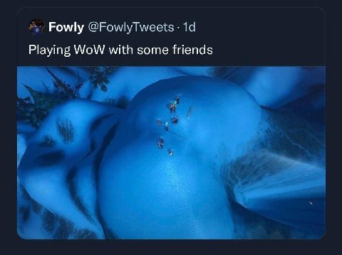Fowly Playing WoW with some friends