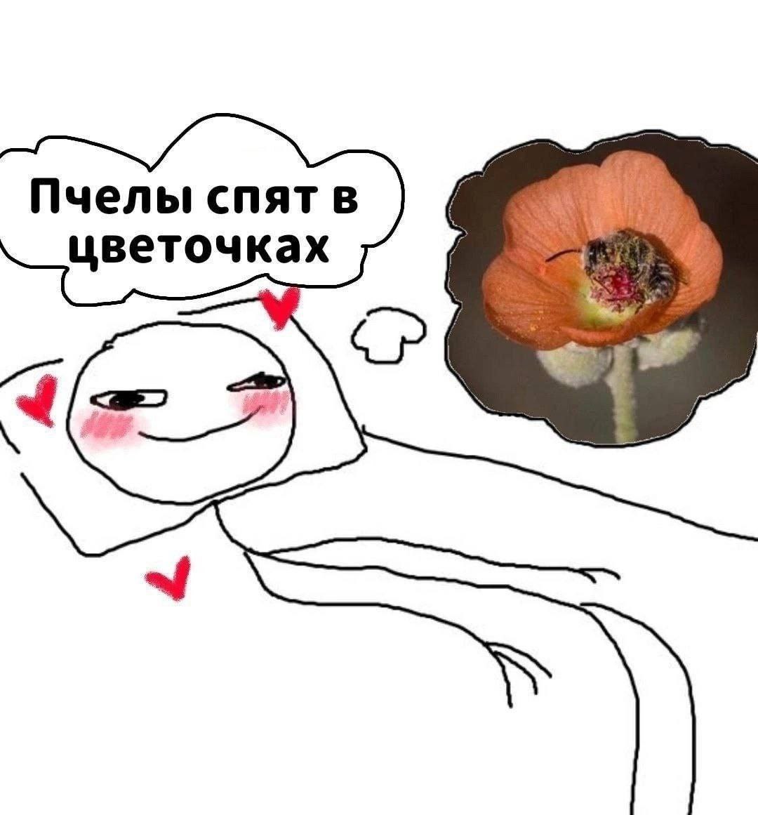 Пчелы спятв цветочках