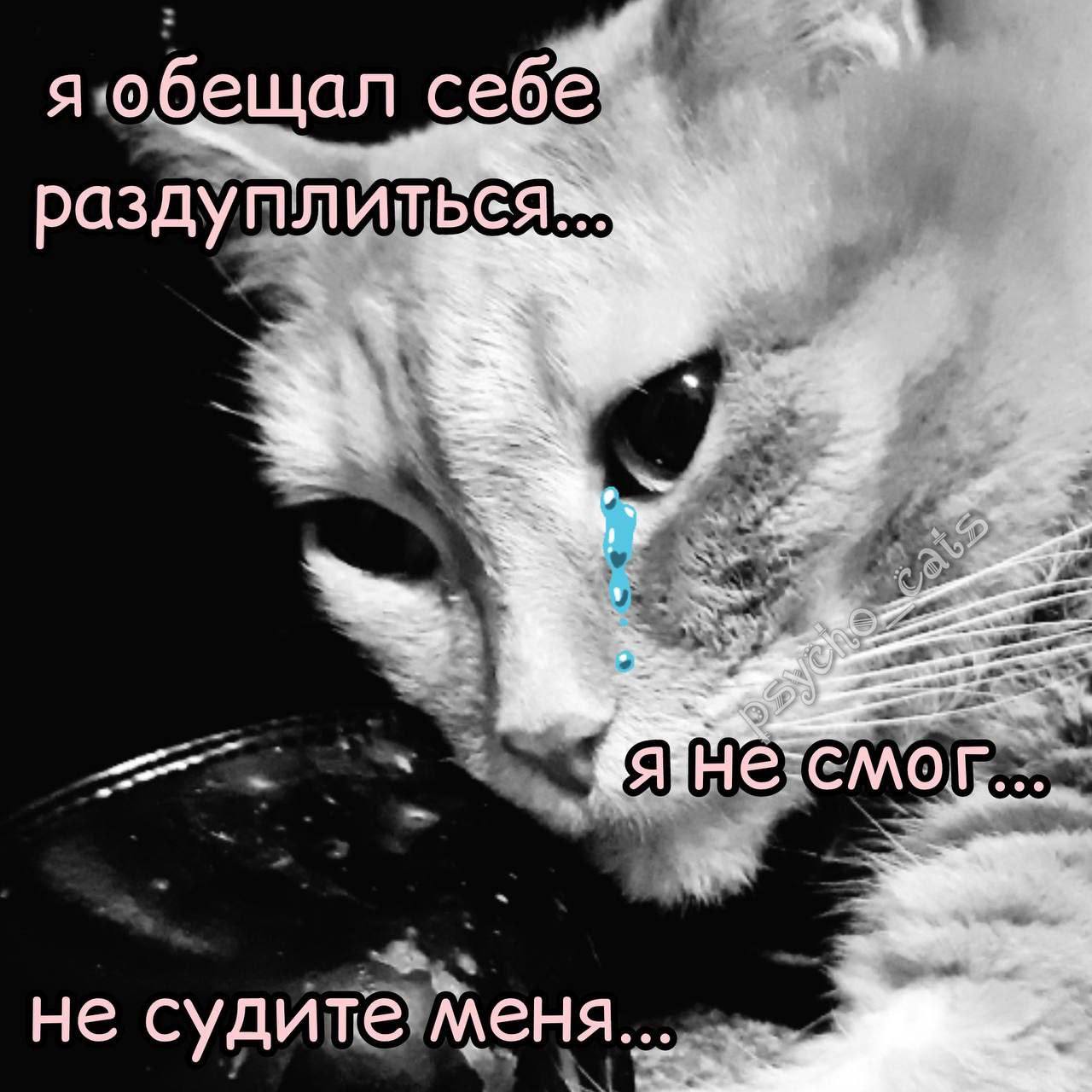 я сегодня