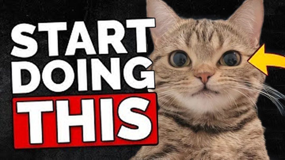 START DOING THIS