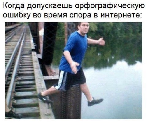 Когда допускаешь орфографическую ошибку во время спора в интернете: