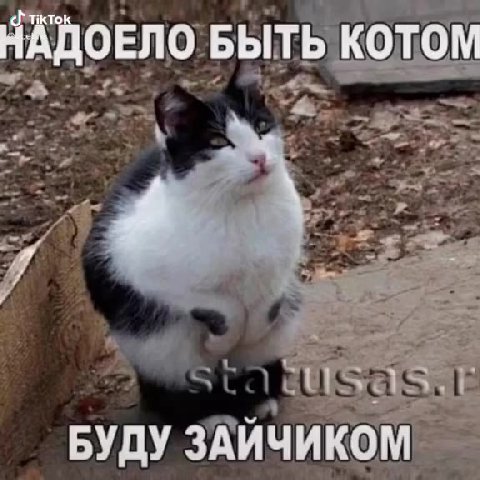г тот > приколов НАДОЕЛО`БЫТЬ КОТОМ С бе линия БУДУ ЗАИЧИКОМ = Невидимый мопед /NKOSAMH сназАлумиу OH ПОНИМАЕМ ЯЗ Е какая’ аще 9 Мс. ЭЙ, ДЕТКА! ВСЕБУДЕТКЛАССНО»