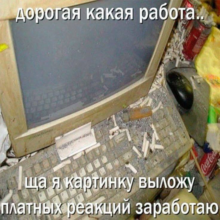 какая 3 выложу 3 платныхреакций заработаю