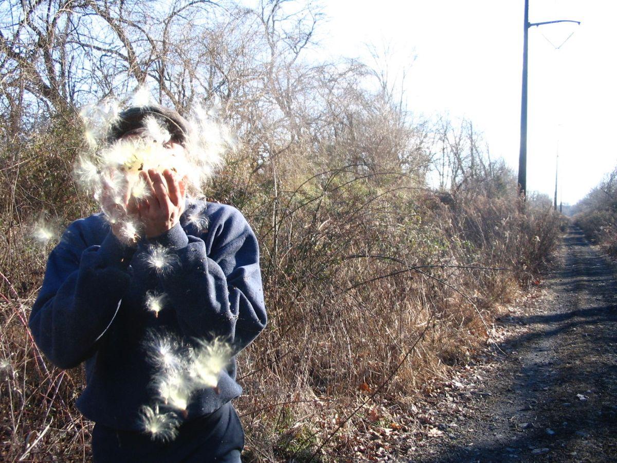 в Pal у i