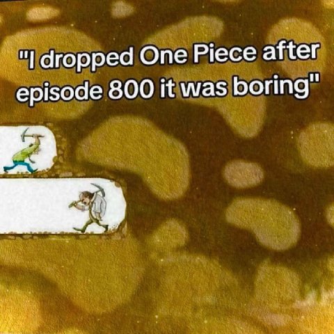 dropped One Piece after episode 800 it was boring"