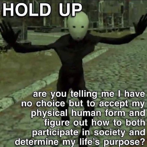 HOLD UP are you telling me have no choice but to accept my physical human form and figure out how to both participate in society and determine my life’s purpose?