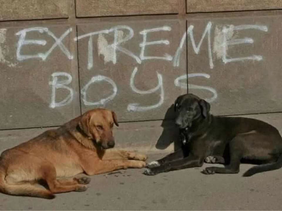 Я