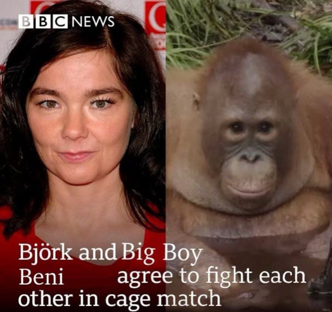 Bjork and Big Boy Beni agree to fight each other in cage match