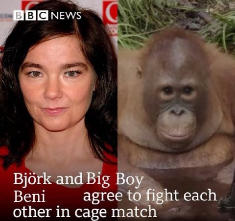 Bjork and Big Boy Beni agree to fight each other in cage match