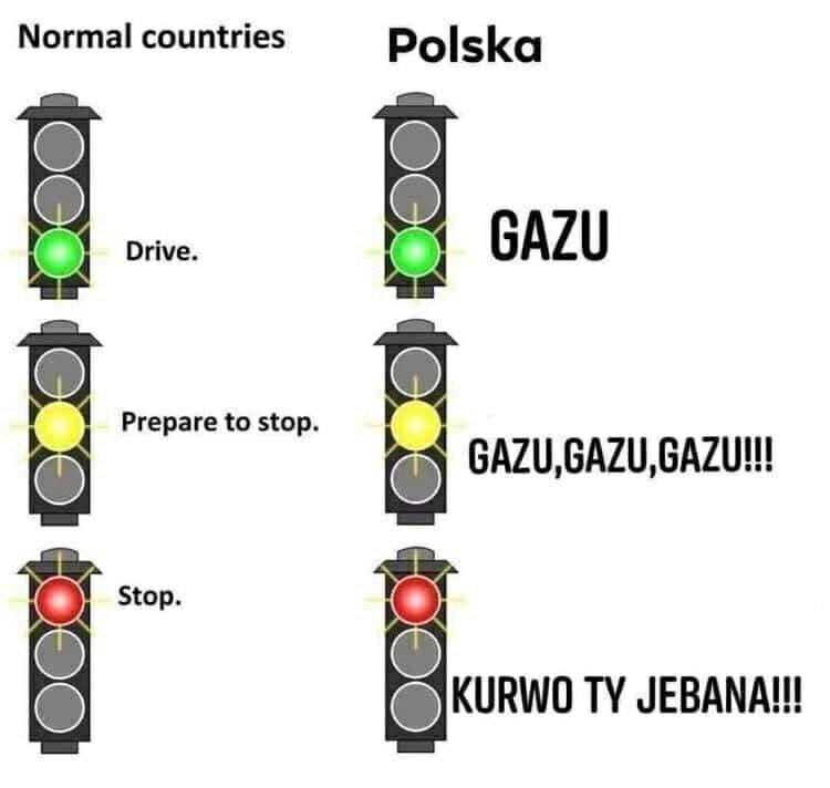 Normal countries Polska Drive GAZU Prepare to stop. Stop. KURWO JEBANA!!!