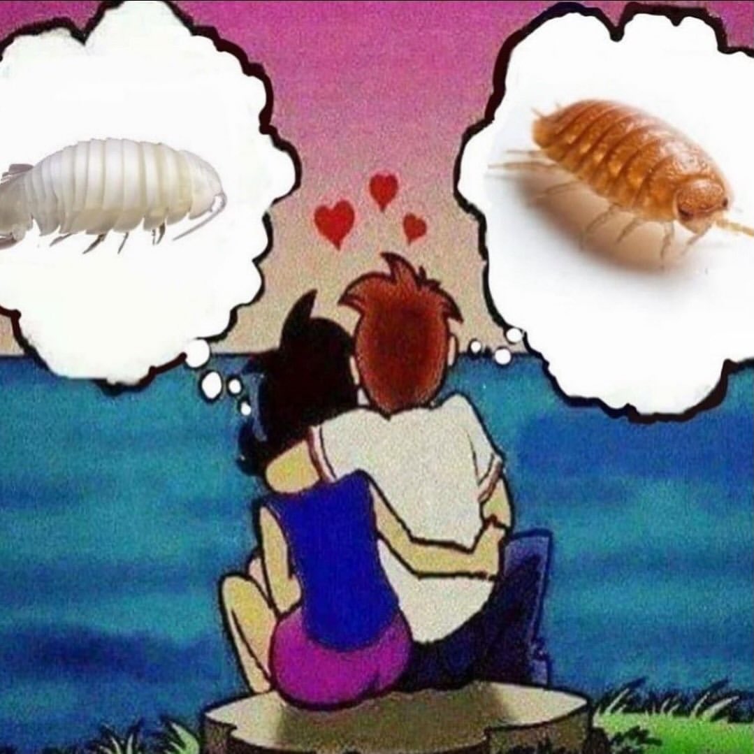 1 f Фе \ us e t J р о} \ КУ ` $ ANH A