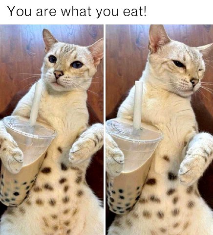 eat! You are you Lig