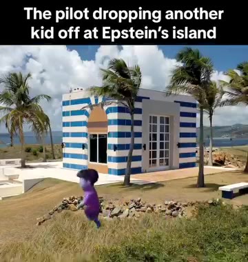 The pilot dropping another