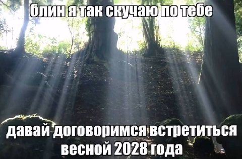 0 ЛИ акс кучаюлотебе у встретиться весной 2028 года