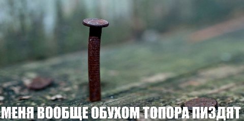 МЕНЯ ВООБЩЕ ОБУХОМ ТОПОРА ПИЗДЯТ