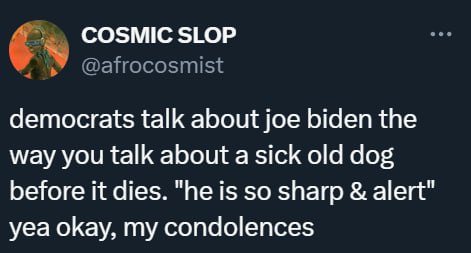 COSMIC SLOP @afrocosmist democrats talk about joe biden the way you talk about a sick old dog before it dies. "he is so sharp alert" yea okay, my condolences
