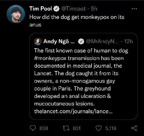 Tim Pool How did the dog get monkeypox on its anus Апау №56 The first known case of human to dog #monkeypox transmission has been documented in medical journal, the Lancet. The dog caught it from its 