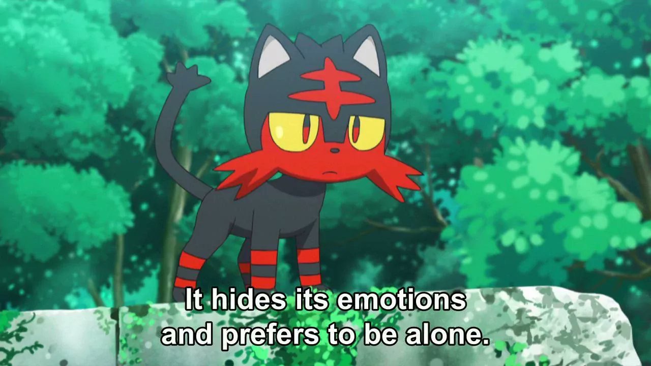 hides its 3 and to be alone.