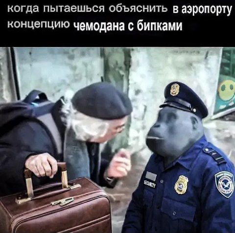когда пытаешься объяснить в аэропорту концепцию чемодана с бипками a8