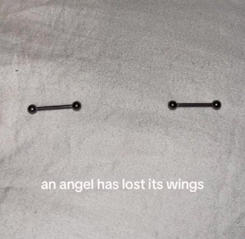 an angel has lost its wings