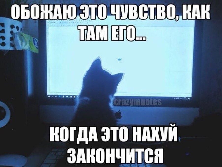 ОБОЖАЮ, КАК КОГДА ЭТО НАХУЙ ЗАКОНЧИТСЯ