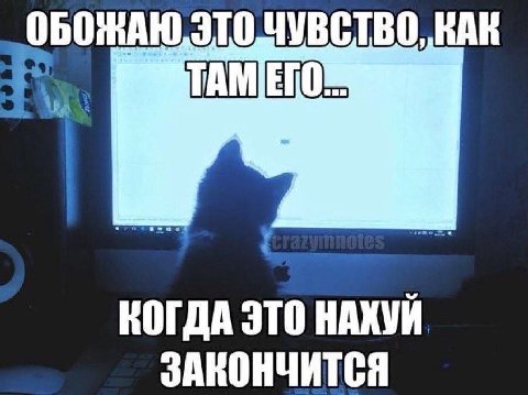 ОБОЖАЮ, КАК КОГДА ЭТО НАХУЙ ЗАКОНЧИТСЯ