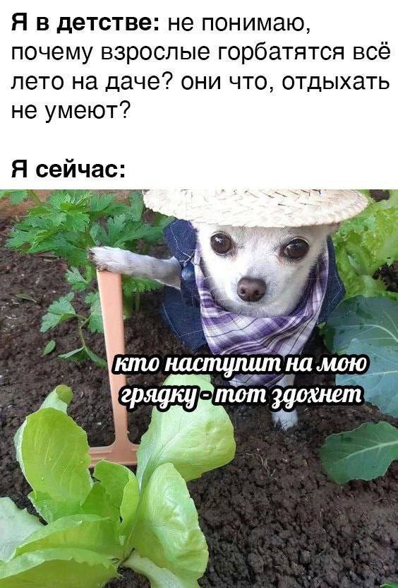 Я в детстве: не понимаю, почему взрослые горбатятся всё лето на даче? они что, отдыхать не умеют? час И кто