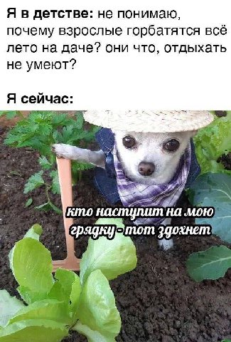Я в детстве: не понимаю, почему взрослые горбатятся всё лето на даче? они что, отдыхать не умеют? час И кто