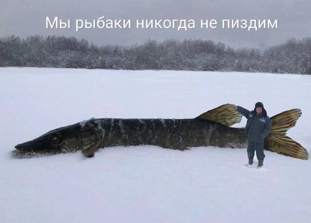 Мы рыбаки никогда не пиздим
