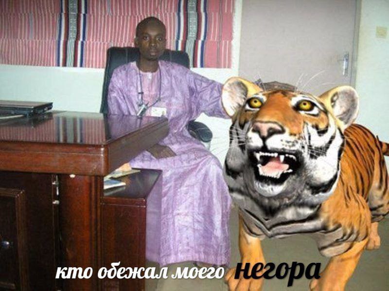4.2 кто обежал моего.