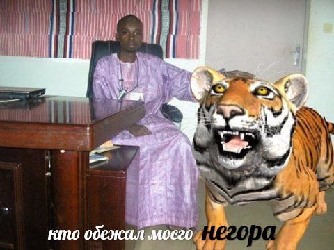 4.2 кто обежал моего.