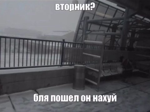 бля пошел он нахуй