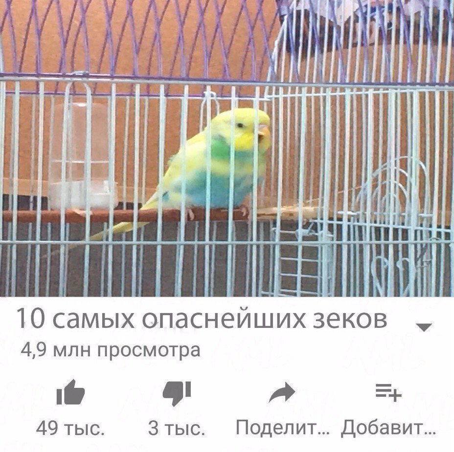 2 10 самых опаснейших зеков 4,9 млн просмотра lad 49 тыс. 3 Добавит...