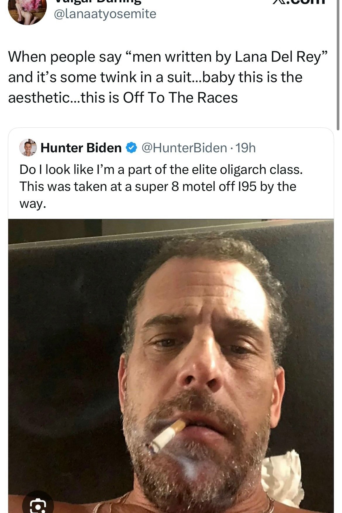 @lanaatyosemite When people say “men written Lana Del Rey” and it’s some twink in a suit...baby this is the aesthetic...this is Off To The Races Hunter Biden @HunterBiden look like a part of the elite