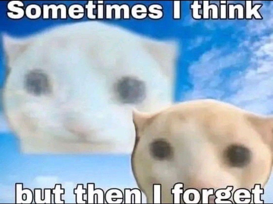 sometimes 1 think Sdn то
