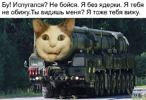 Испугался? Не бойся. Я без ядерки. Я тебя не обижу. Ты видишь меня? Я тоже тебя вижу.