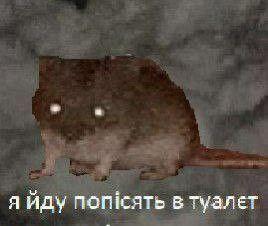 я йду в туалет