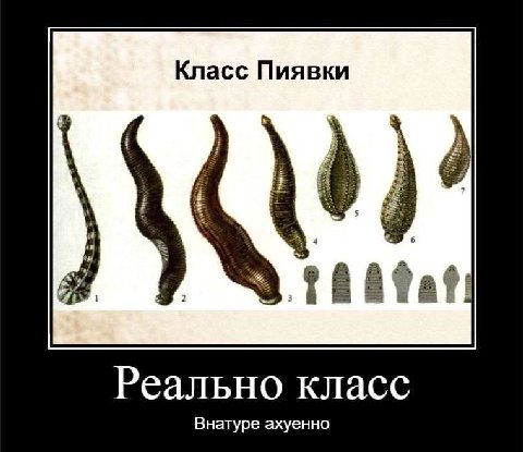 Класс Пиявки тат Реально класс Внатуре ахуенно