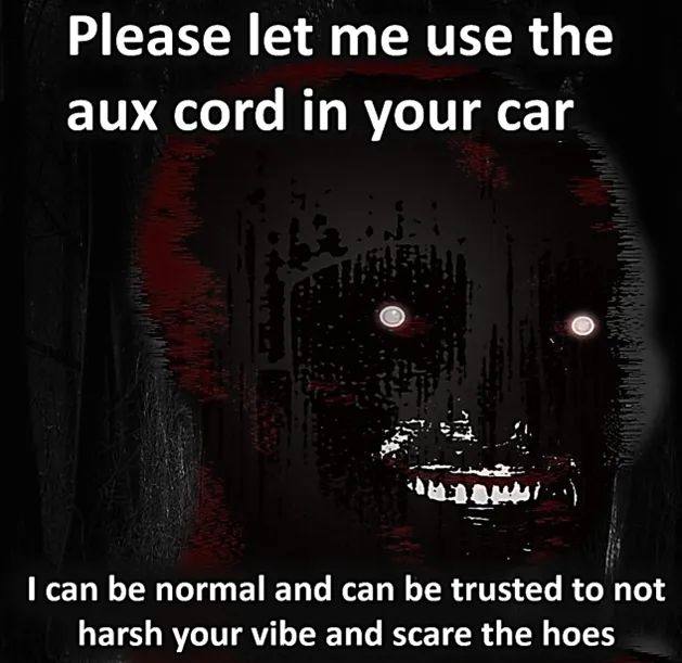Please let me use the aux cord in your car can be normal and can be trusted to not harsh your vibe and scare the hoes