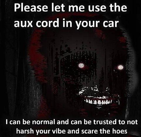 Please let me use the aux cord in your car can be normal and can be trusted to not harsh your vibe and scare the hoes