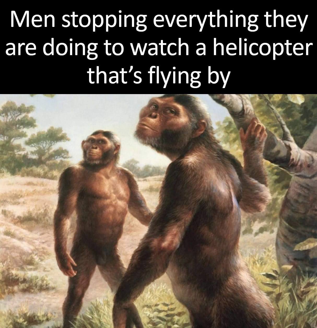 Men stopping everything they are doing to watch a helicopter that’s flying а