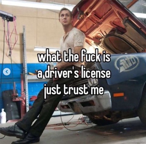 the is license just trust me-. 4