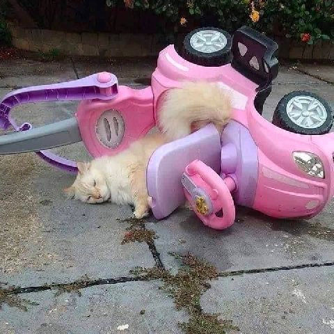 ЗА а 5 4 ЗА