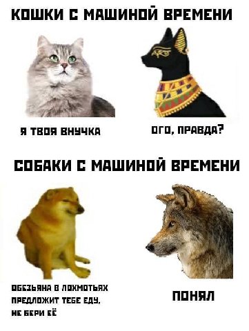 КОШКИ С МАШИНОИ ВРЕМЕНИ Я ТВОЯ ВНУЧКА ОГО, ПРАВДА? СОБАКИ С МАШИНОИ ВРЕМЕНИ ОБЕЗЬЯНА В ЛОХМОТЬЯХ ПРЕДЛОЖИТ ТЕБЕ ЕДУ, ПОНЯЛ НЕ БЕРИ ЕЁ