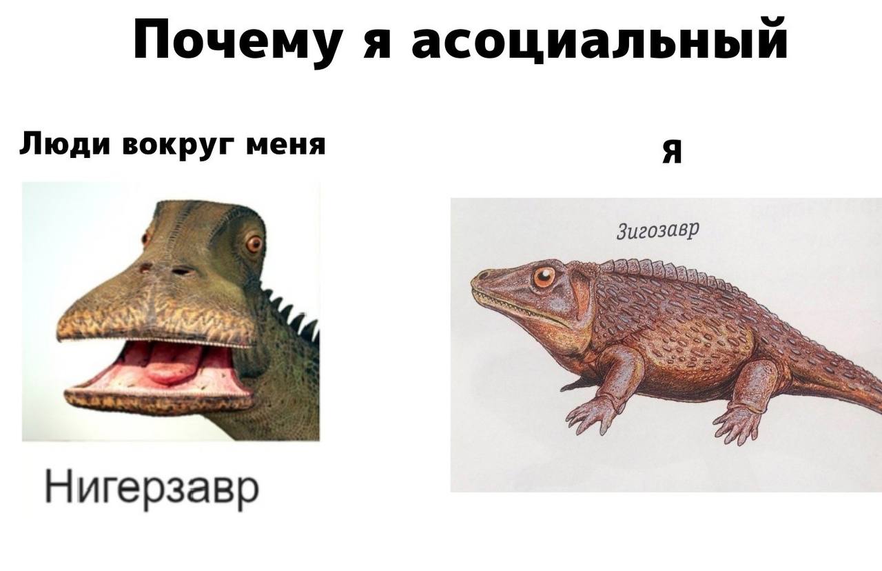 Почему я асоциальный Люди вокруг меня Я Зигозавр Нигерзавр