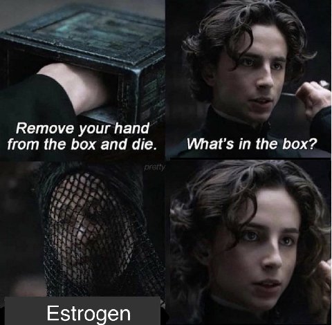 Remove your hand from the box and die. in the box? Estrogen