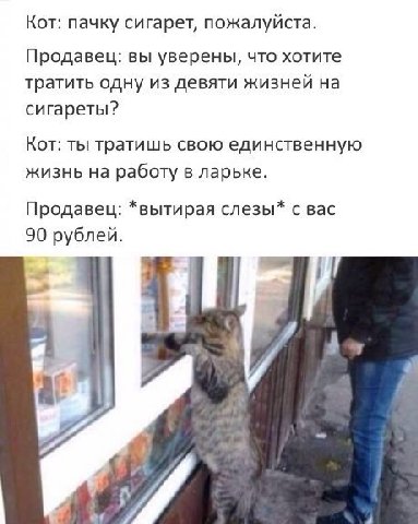 Кот: пачку сигарет, пожалуйста. Продавец: вы уверены, что хотите тратить одну из девяти жизней на сигареты? Кот: ты тратишь свою единственную жизнь на работу в ларьке. Продавец: *вытирая слезы* с вас 