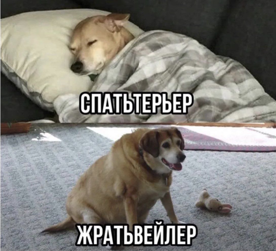 ЖРАТЬВЕЙЛЕР
