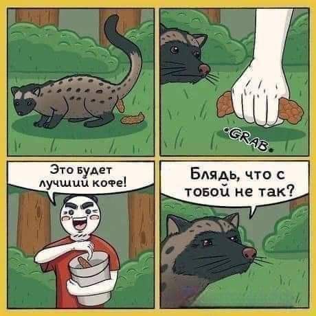 Блядь, что с не так?
